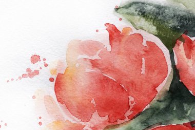 Bouquet of flowers. Spring. Summer. watercolor