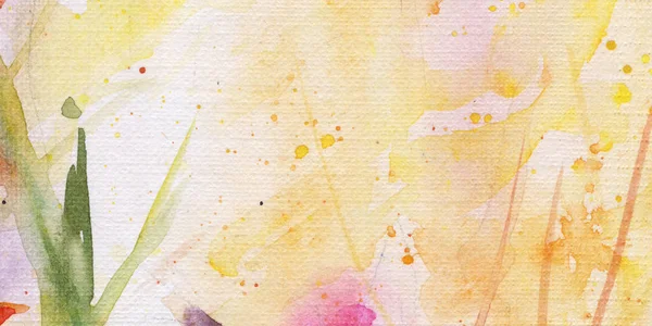 Цветы Клумбе Солнечный Свет Листья Акварель Фон — стоковое фото