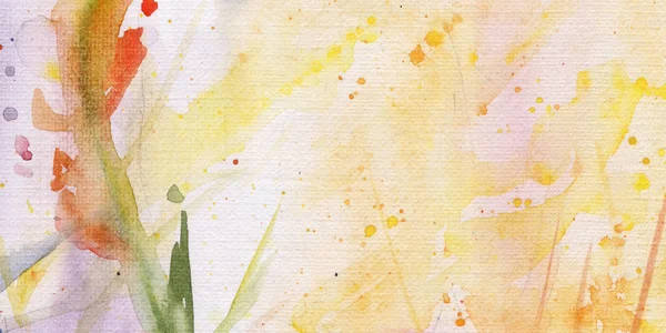 Цветы Клумбе Солнечный Свет Листья Акварель Фон — стоковое фото