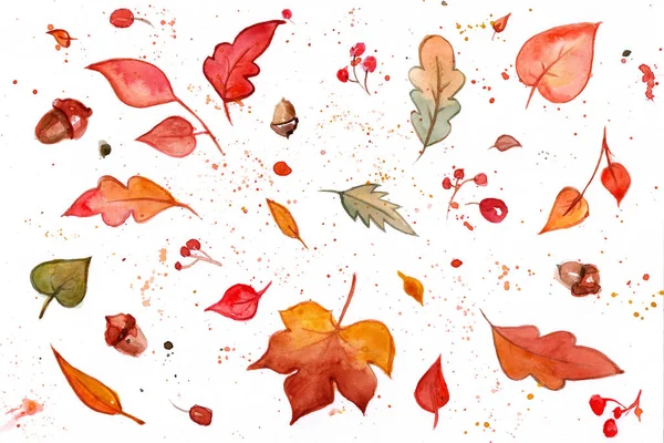 Autumn Leaves Background Acorns Watercolor — Stock Photo, Image