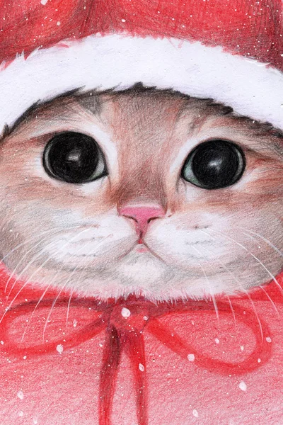 The cat in the hat of Santa Claus. Christmas. new Year. illustration with colored pencils. snow