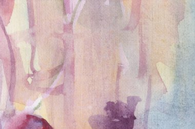 Çiçekler. Yaz mevsimi. Geçmişi. Suluboya. saplar.