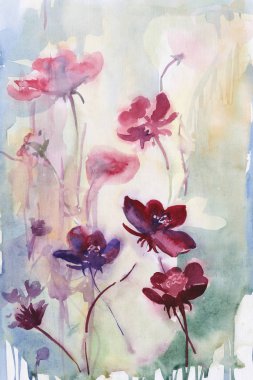 Çiçekler. Yaz mevsimi. Geçmişi. Suluboya. saplar.