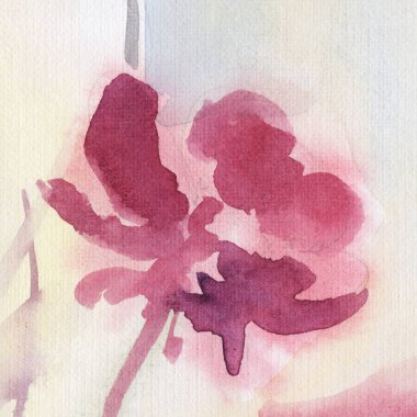 Çiçekler. Yaz mevsimi. Geçmişi. Suluboya. saplar.