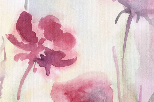 Польові Квіти Весна Літо Фон Акварель Стебла — стокове фото