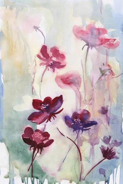 Polní Květiny Jaro Léto Pozadí Akvarel Stonky — Stock fotografie