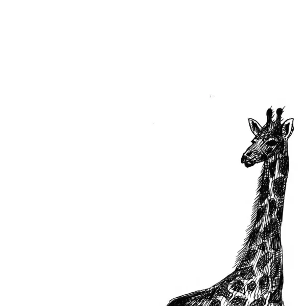 Grafica Giraffa Africa Immagine — Foto Stock