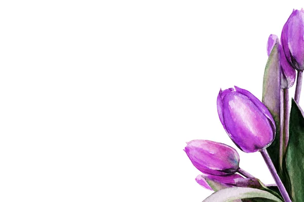 チューリップだ花の花束だ春だ水彩画 — ストック写真