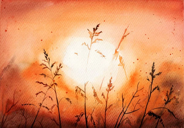 dawn in the field. the sun. sunset the shadows. evening. plants. grass. botany. watercolor summer