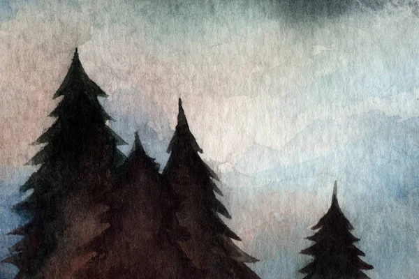 Brouillard Dans Forêt Des Arbres Noël Aiguilles Pins Automne Hiver — Photo