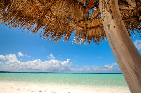 Smuk tropisk udsigt: strand i Maldiverne - Stock-foto