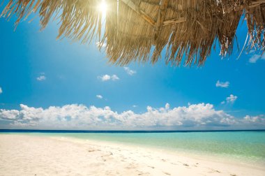 Güzel tropikal görünüm: beach Maldivler