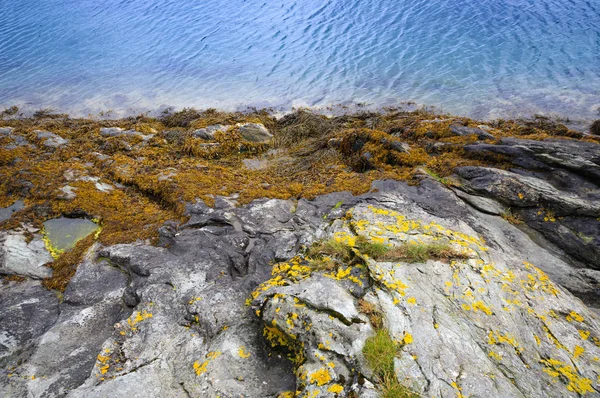 Línea del mar y costa rocosa de cerca — Foto de Stock