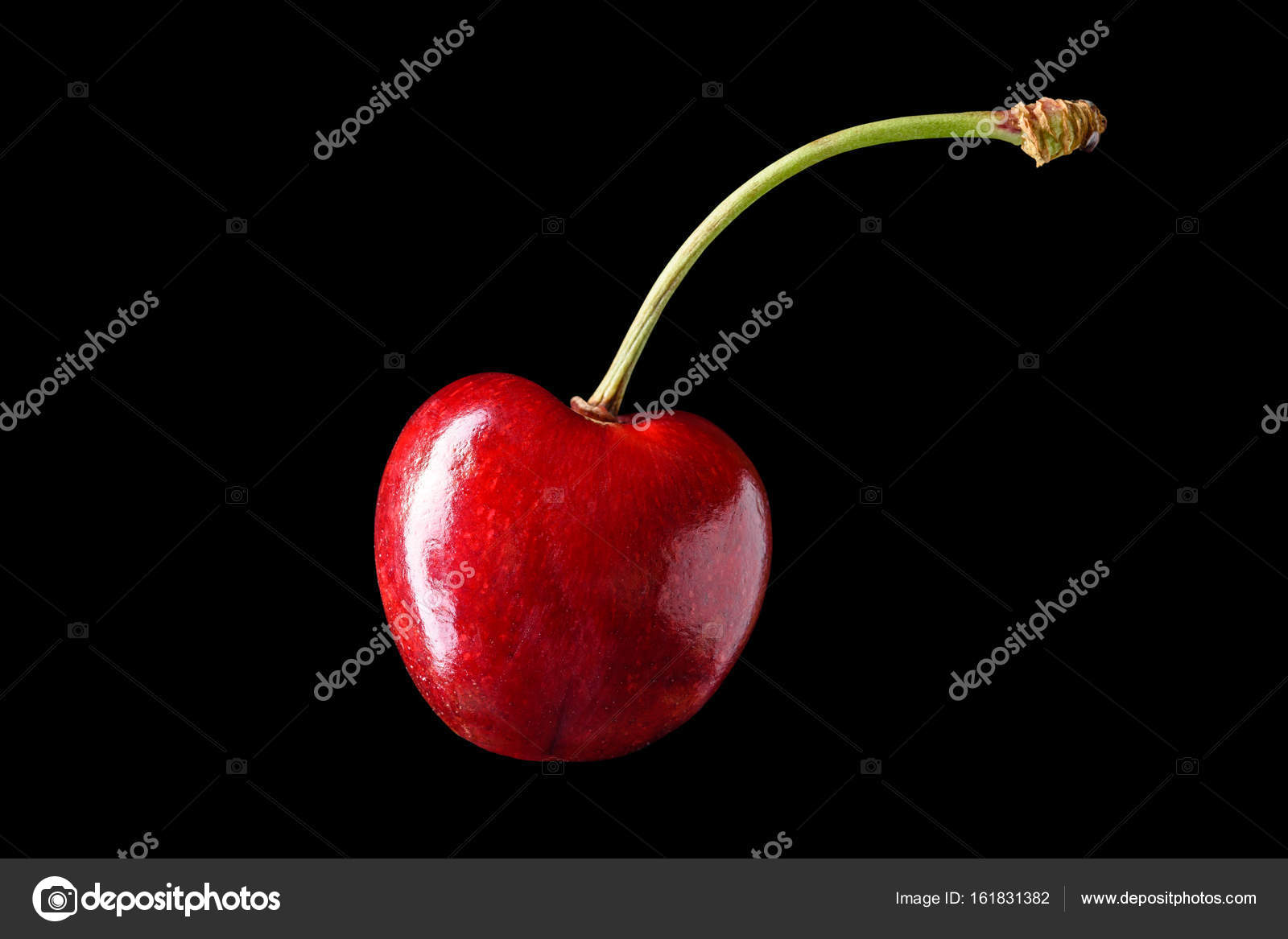 Isolated Sweet Merry Cherry Over Black Background Stock Photo Image By C Edgieus Isolated Sweet Merry Cherry Over Black Background Stock Photo Image By C Edgieus