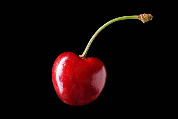 Isolated sweet merry cherry over black background — Stock Photo, Image