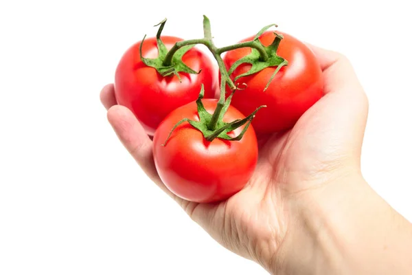 Tres tomates rojos en mano aislados sobre fondo blanco — Foto de Stock