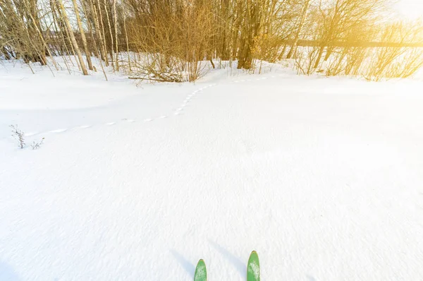 在阳光明媚的冬日里, 在雪地里滑雪者带着滑雪板。乡村滑雪在森林里. — 图库照片