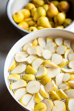 Kurutucu rafında taze armut dilimleri ve armutlar kuruyor.