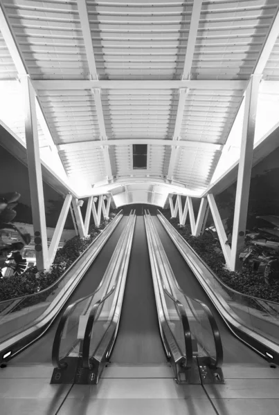 Escalator and stairway of contemporary building — Stock Photo, Image