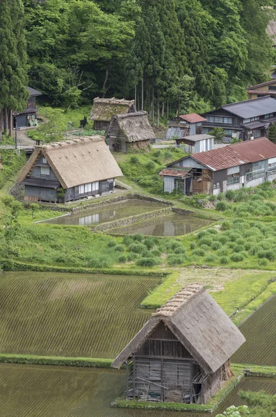 Paesaggio idilliaco della scena rurale del Giappone — Foto Stock