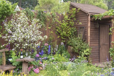 Eski yerleşim yerinin arka bahçesi.