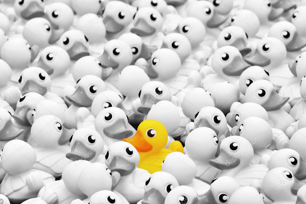 Unique yellow toy duck among many momochrome ones. Standing out from crowd, individuality and difference concept