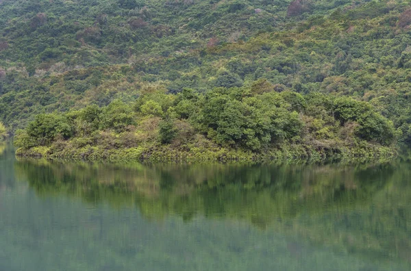 Lago del bosque que refleja árboles en Hong Kong. Fondo natural — Foto de Stock