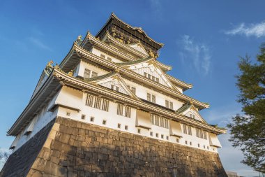 Japonya 'daki Osaka Kalesi 