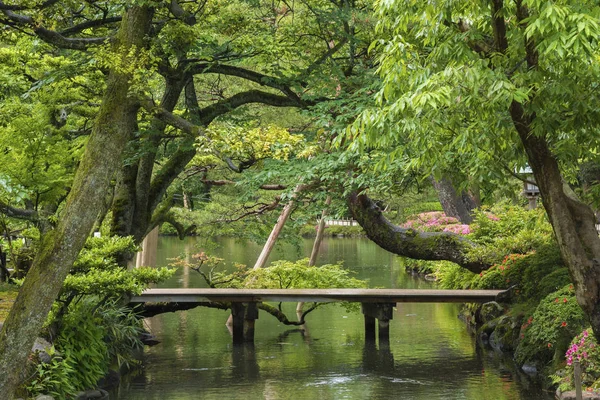 Japon bahçesi Kenrokuen, Kanazawa, Japonya