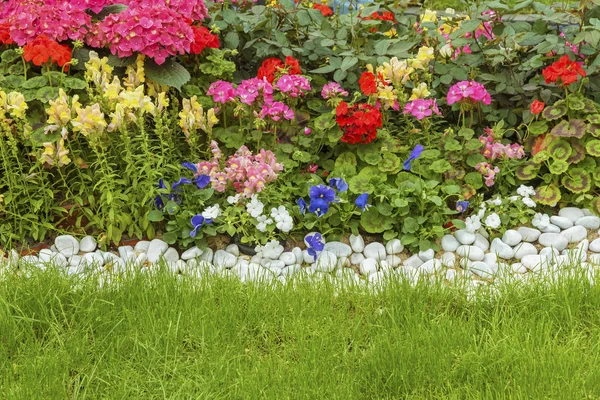 春天时节 后院花园的五彩缤纷的花朵 免版税图库图片