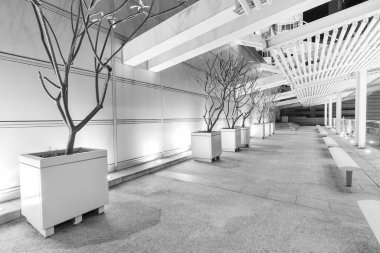 Geceleri modern bahçe.