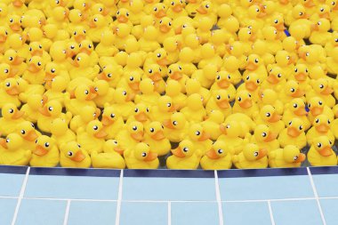 Havuzda yüzen sarı oyuncak ördek