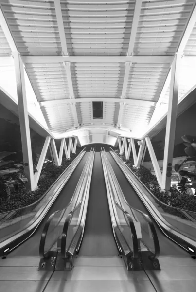Çağdaş Binanın Yürüyen Merdiveni Merdiveni — Stok fotoğraf