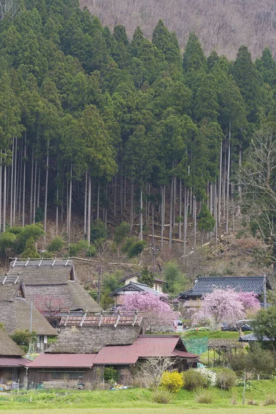 Miyama Történelmi Falu Idilli Tájképe Kiotóban Japánban — Stock Fotó