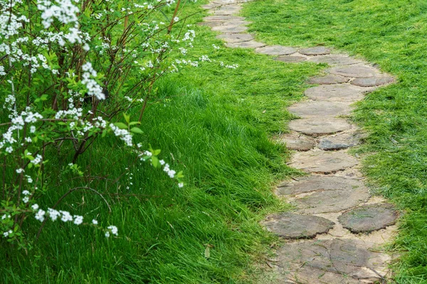 Chemin Dans Jardin Fleuri Orné Contexte Naturel — Photo