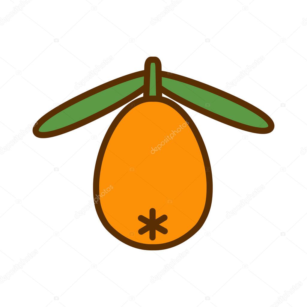 Sea buckthorn. Color flat icon of one sea buckthorn berry and two leaves isolated on a white background. Hippophae vector illustration with editable stroke.