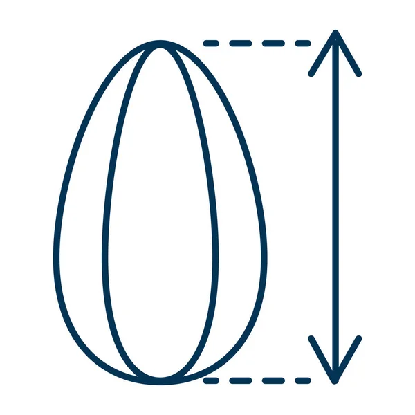 葵花子大小图标 种子有一个高箭头 成熟的大烤谷物 矢量网轮廓细线插图白色背景与可编辑笔划 油类和脂肪零食生产 — 图库矢量图片
