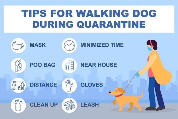 Consejos para pasear perro durante la cuarentena coronavirus 2019-covid. Recomendaciones infográficas para caminar fuera. Collar de perro enmascarado. Guantes, distancia, limpieza, bolsa de caca, tiempo límite para caminar — Vector de stock