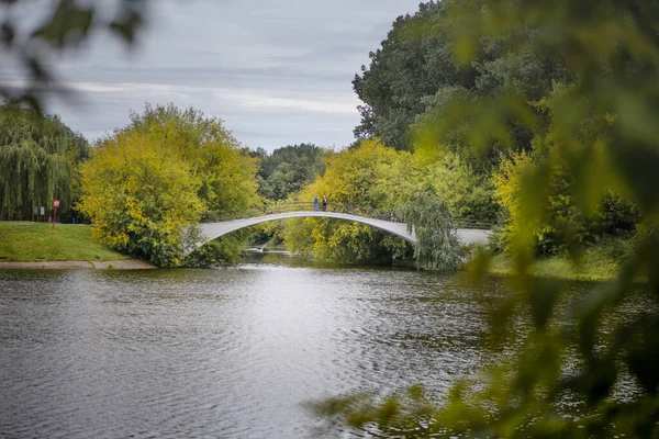 bridge over the lake in the park in summer