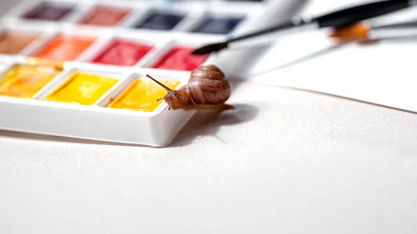 Little curious snail crawls on watercolors palette. Art and creativity concept. Space for text