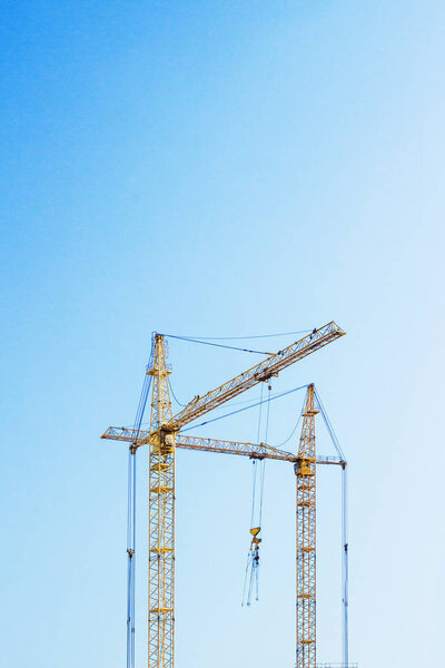 Yellow cranes against blue sky. Vertical composition