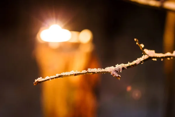 Rama con nieve por la noche en invierno — Foto de Stock