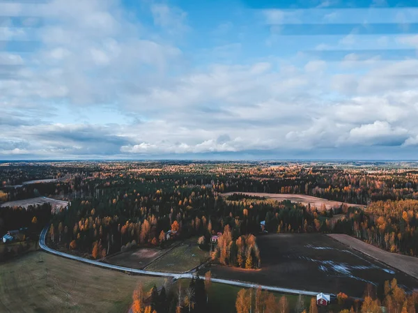 Luftaufnahme des Herbstwaldes. Foto von einer Drohne aufgenommen. Finnland, Schweden. — Stockfoto