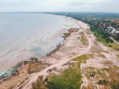 Kumlu sahil, orman ve ağaçlarla dolu Aerialphoto sahili. Sonbahar, Baltık denizi, St. Petersburg.