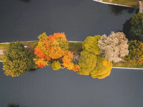 Luftbildinseln mit vergilbten Bäumen. — kostenloses Stockfoto