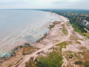 Kumlu sahil, orman ve ağaçlarla dolu Aerialphoto sahili. Sonbahar, Baltık denizi, St. Petersburg.