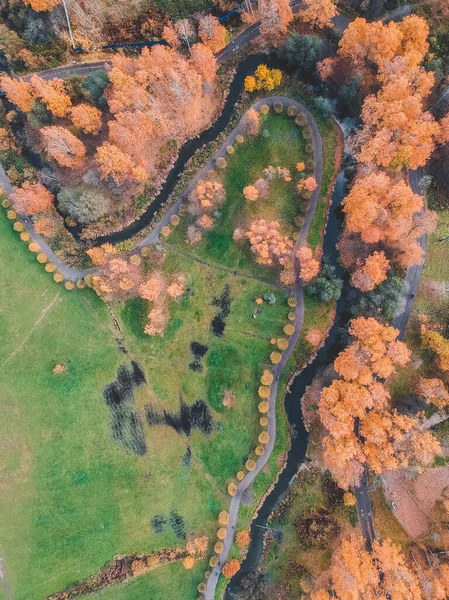 Vista aérea del parque otoñal en los suburbios de la ciudad. San Petersburgo, Rusia . — Foto de stock gratis