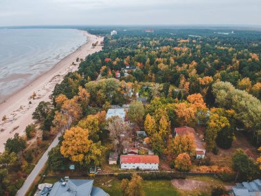 Baltık Denizi 'nin Aerialphoto sahili, kumlu plaj, orman, ağaçlar.