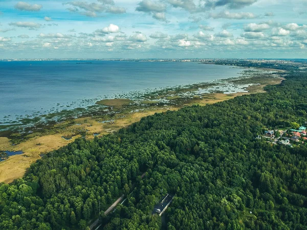 Foto aérea del Golfo de Finlandia, playa de arena, bosque. Rusia, San Petersburgo, Peterhof — Foto de Stock