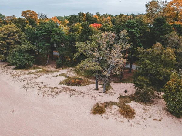 Aerialphoto playa, árboles, bosque. Mar Báltico . — Foto de Stock